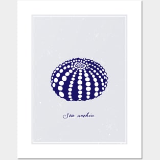 Blue sea urchin with white dots. Realistic sea life drawings. Posters and Art